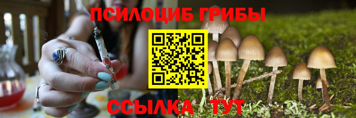 Мариинск  Псилоцибиновые грибы мицелий  Вход с VPN 